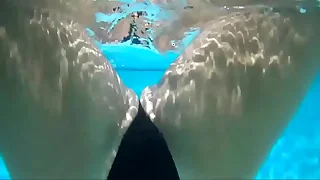 4193 soloboy porn videos